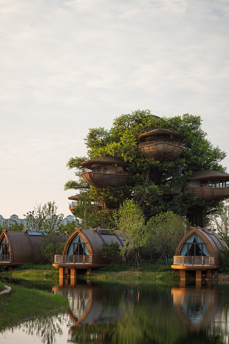 国际认可！武汉城建开元森泊度假乐园斩获2025伦敦设计奖铂金奖